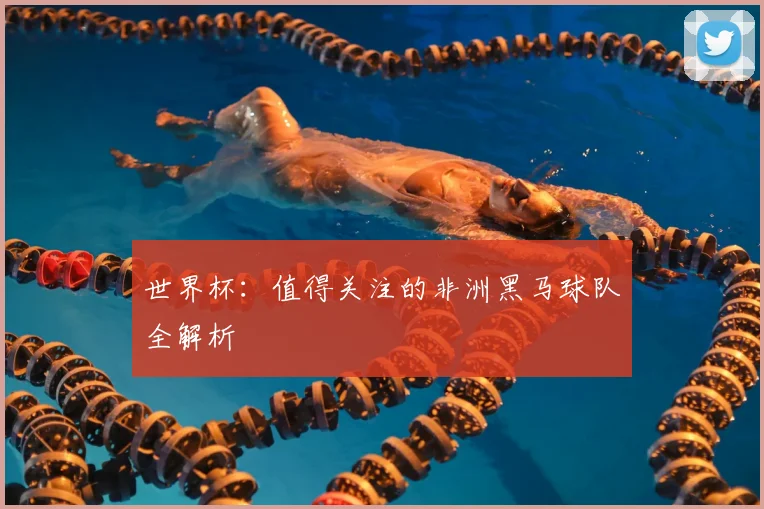 世界杯：值得关注的非洲黑马球队全解析